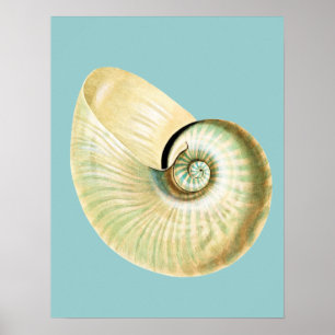 Pôster O zen inspirou o tema da praia