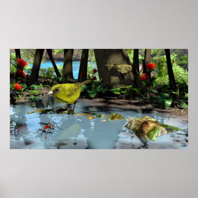 Pôster Oahu Amakihi (Frente)