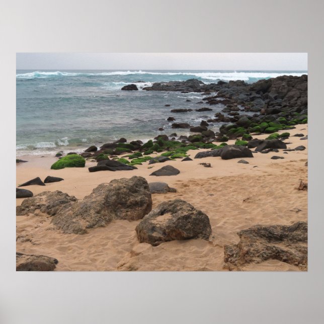 Poster Oahu's North Shore and Sea Turtle  (Frente)