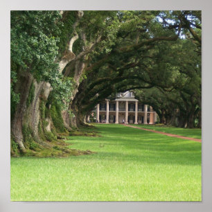 Pôster Oak Alley Plantation