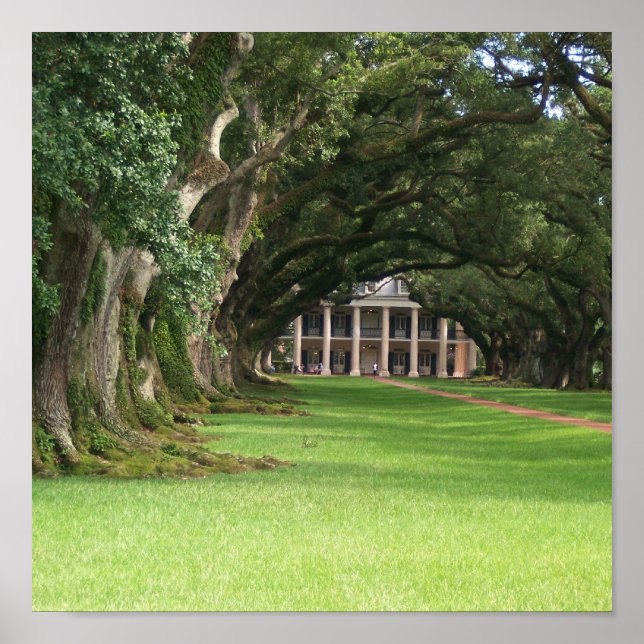 Pôster Oak Alley Plantation (Frente)