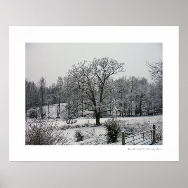 Poster Oak de inverno (Frente)
