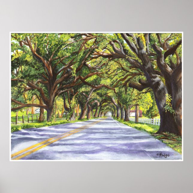 Poster Oak Lined Road (Frente)