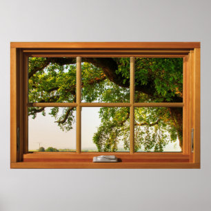 Poster Oak Tree Branches Wooden Window Illusion