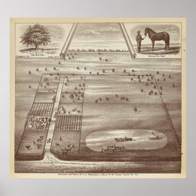 Pôster Oakdale Ranch (Frente)