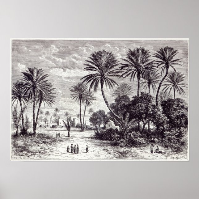 Poster Oásis de Gafsa: Tunis (Frente)