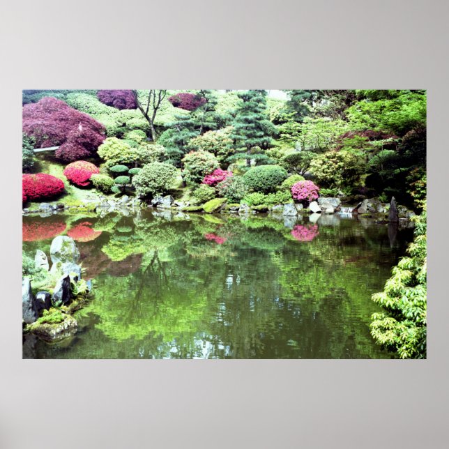 Pôster Oásis Japonês (Frente)
