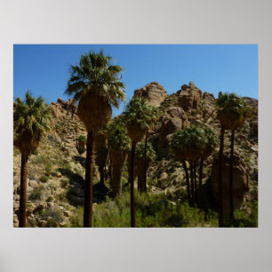Pôster Oásis Lost Palms I no Parque Nacional Joshua Tree