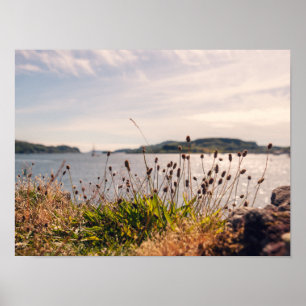 Poster Oban Waterfront