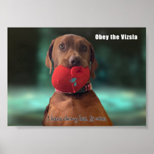 Poster Obey, Vizsla