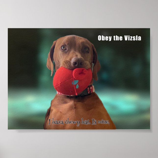 Poster Obey, Vizsla (Frente)