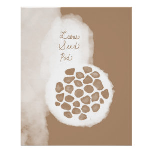 Pôster objet_11_lotus seed pod glossy poster