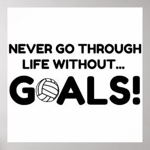 POSTER OBJETIVOS DE VOLLEYBALL