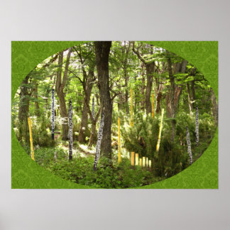 Pôster Oboe Forest