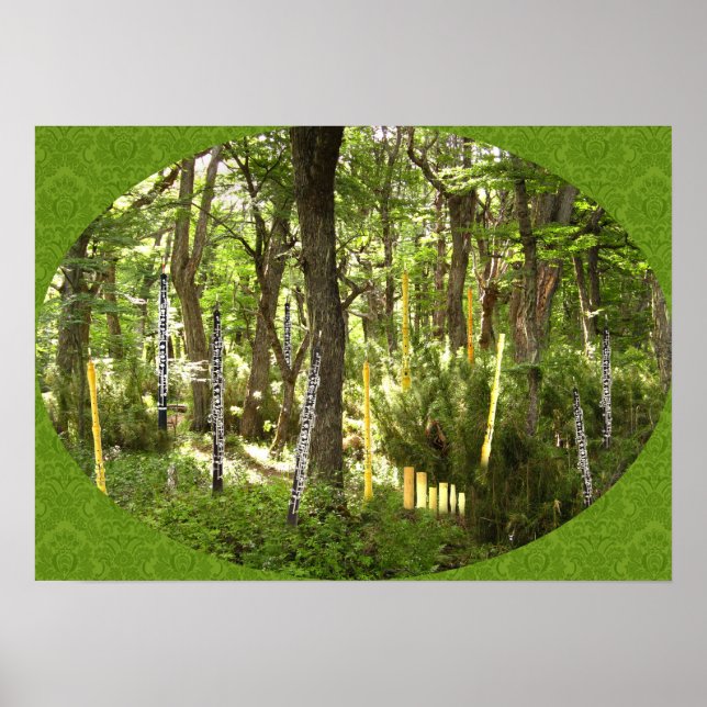 Pôster Oboe Forest (Frente)