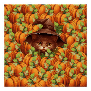 PÔSTER OBRIGADO A PUMPKINS CUTE CAT