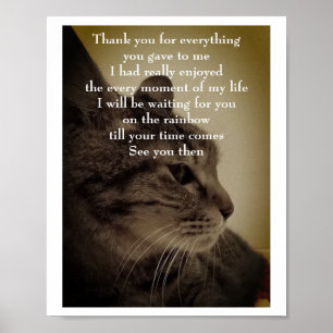 Poster Obrigado & RIP 