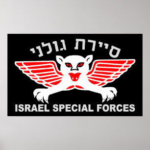 Pôster Obscuridade Recon de Golani