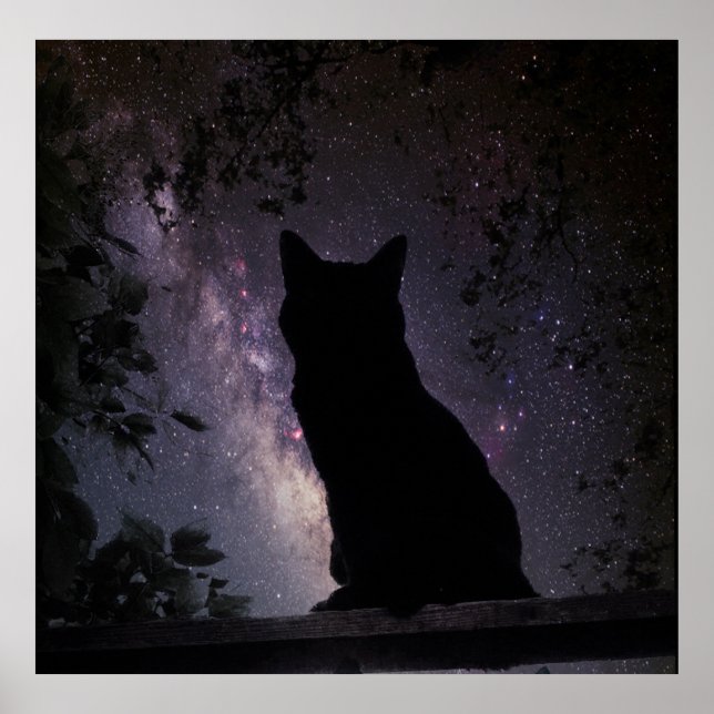 Pôster Observação da Noite (Frente)