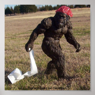 Pôster Observação de Bigfoot