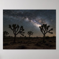 Observação de Estrelas no Deserto: Via Láctea Sobr