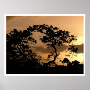 Pôster observador do sol