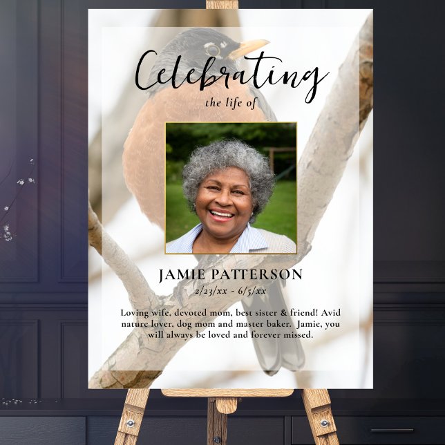 Poster Observadora de Pássaros Robin, Celebração da Foto  (Criador carregado)