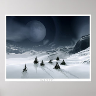 Pôster Observadores