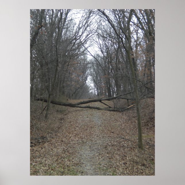 Poster Obstáculo na Estrada (Frente)