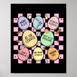 Poster Obstetrícia Eggs Bunny Gynecologista Obgyn Nurse E
