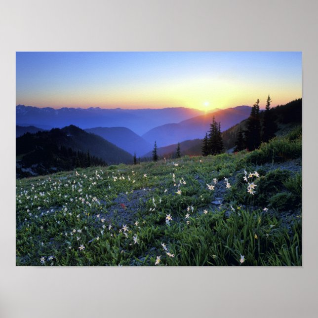 Poster Obstruciton Point Sunset, Olympic NP, WA, USA (Frente)