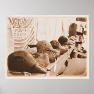 Poster Obtenha seus patos em seguido