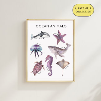 Pôster Ocean Animals Educational Poster