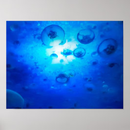 Poster Ocean Blue Jellyfish Foto