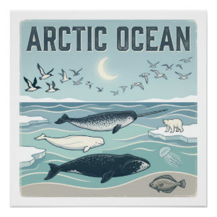 Pôster Oceano Ártico