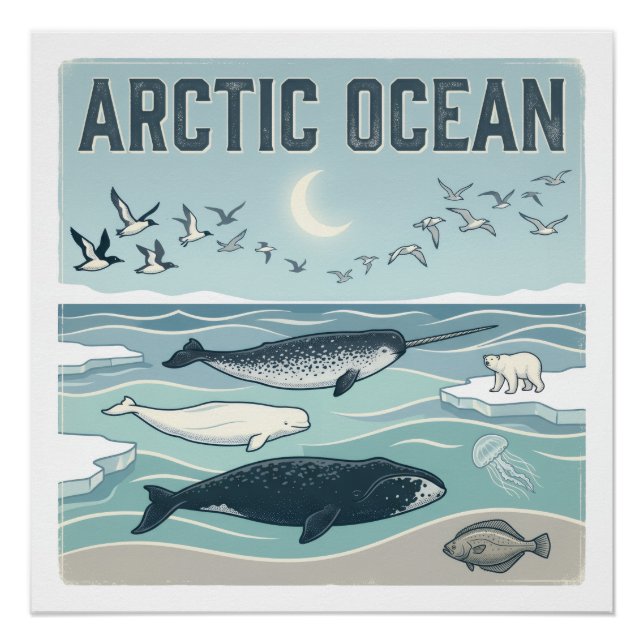 Pôster Oceano Ártico (Frente)