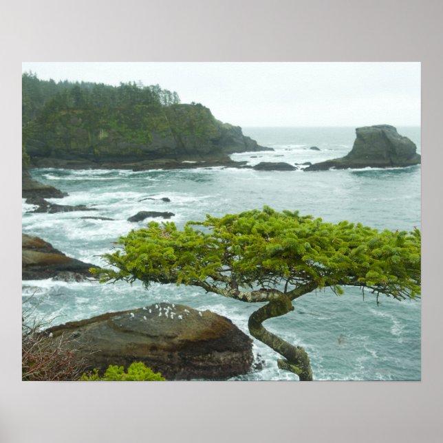 Pôster Oceano e costa rochosa de área remota (Frente)