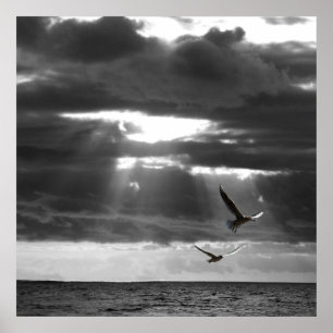 Poster Oceano Negro e Branco 