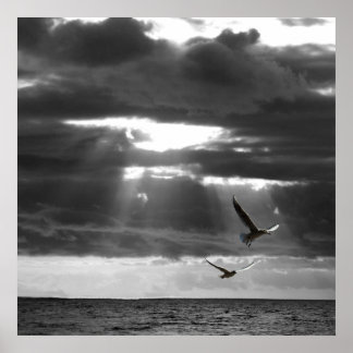 Poster Oceano Negro e Branco