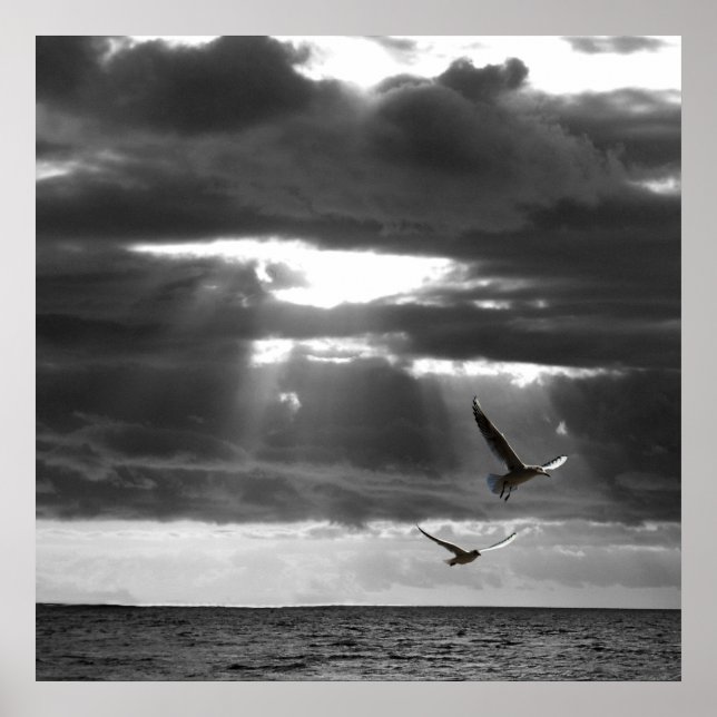 Poster Oceano Negro e Branco (Frente)