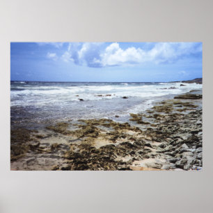 Poster Oceano rochoso de Aruba