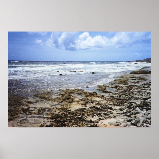 Poster Oceano Rochoso de Aruba (Frente)
