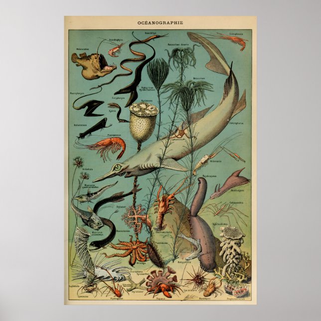 Poster Oceanografia Adolphe Millot Le Larousse Pour Tous (Frente)