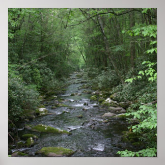 Pôster Oconuluftee River View