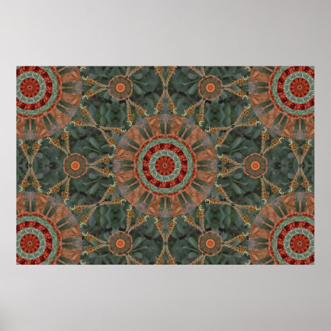 Poster Ocotillo Array 1 (Frente)