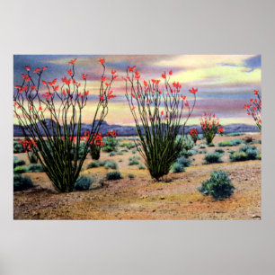 Pôster Ocotillos do deserto arizona em Bloom