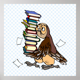 Pôster Octavian Owl