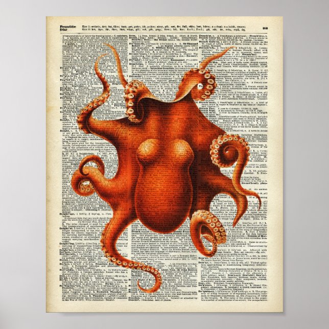 Poster Octopus (Frente)