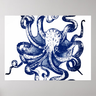Poster Octopus azul