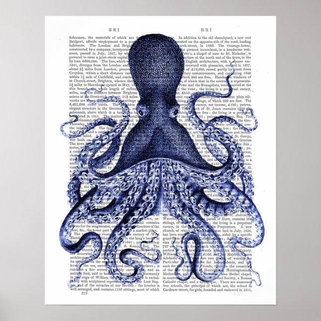 Poster Octopus azul (Frente)